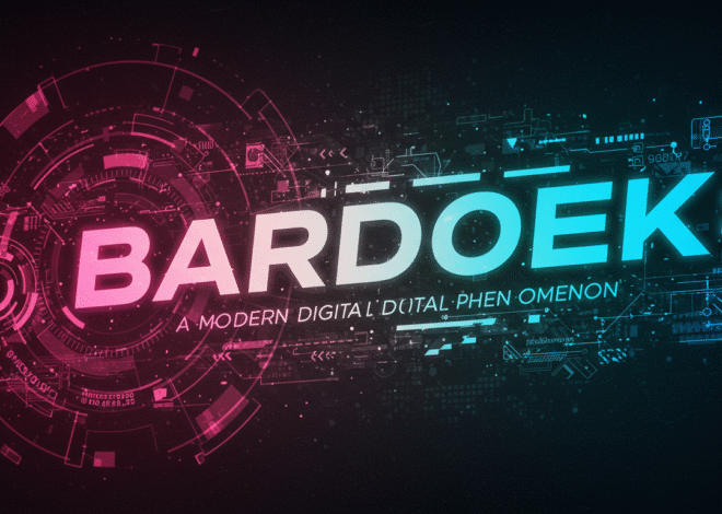 Bardoek: A Modern Digital Phenomenon