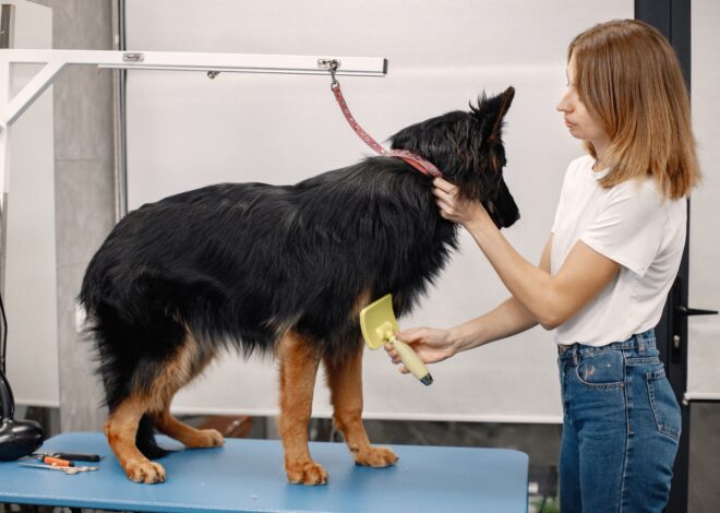 Zuschneidfelle: The Ultimate Guide to High-Quality Cutting Furs and Their Uses